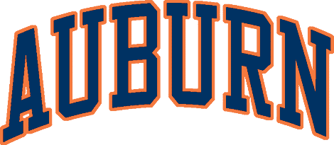 Auburn Tigers 1979-1996 Wordmark Logo t shirts iron on transfers